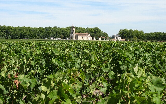 宝马庄园法文chateaupalmer三级酒庄1461